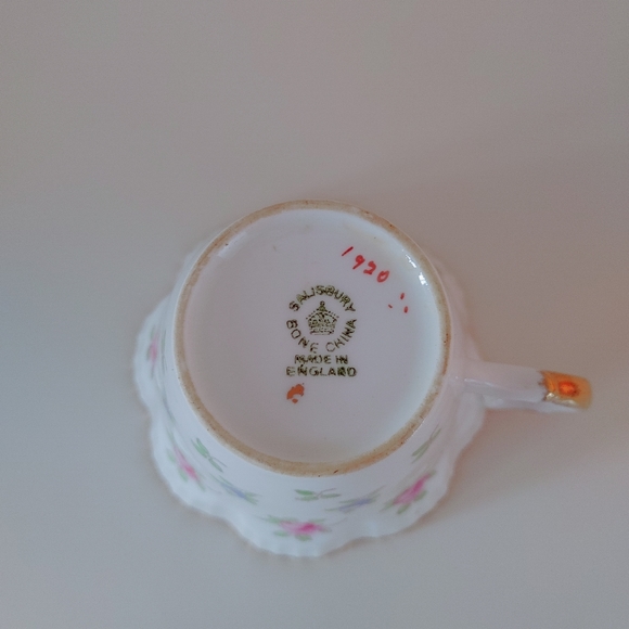 Salisbury bone china teacup and saucer - Picture 4 of 5
